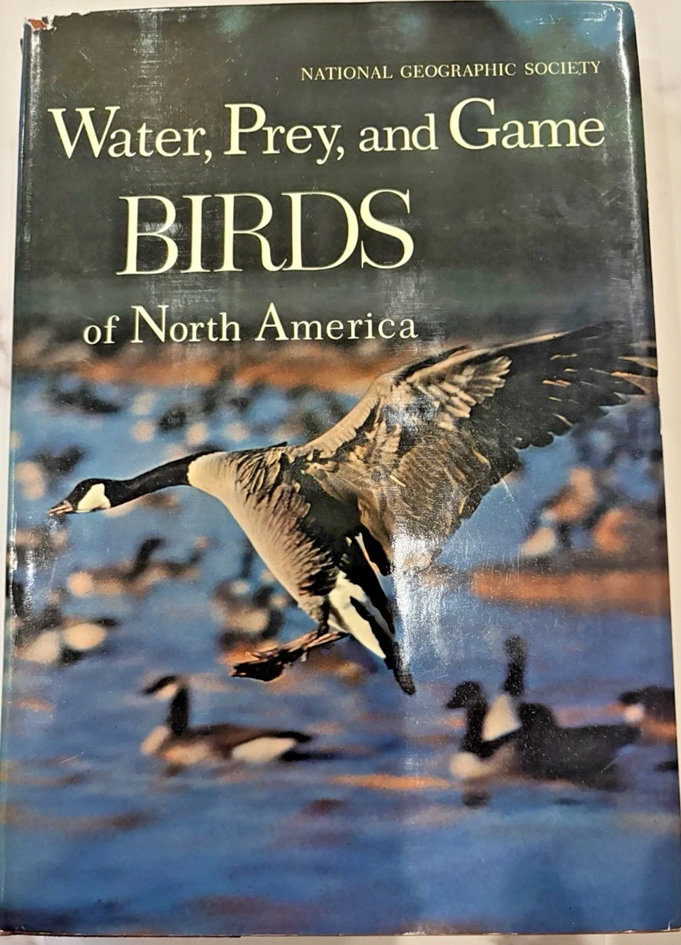Set (2) 1964 National Geographic Society Song Garden Birds Water Prey Game Birds